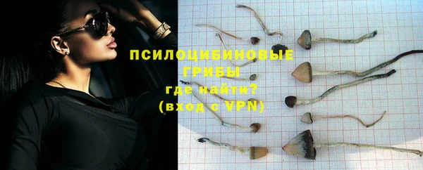герыч Корсаков